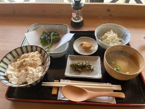 tofu lunch with wild spring veggies (my soy sauce) at Shirakami Tofu  in Aomori
