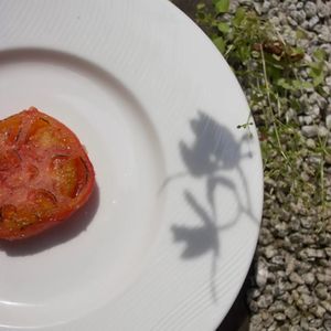 Tomato at Zero Waste Kyoto in Kyoto