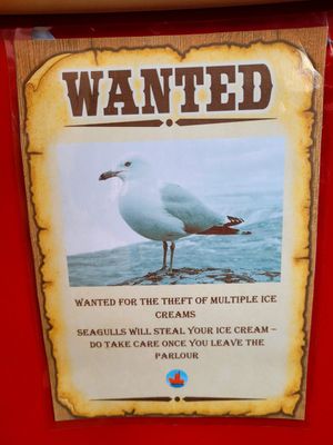 Red Boat Ice Cream Parlour Beaumaris Inside (Seagull Sign). at Red Boat Ice Cream Parlour in Beaumaris