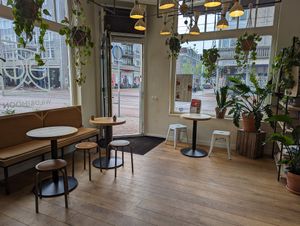 interior at Wild & The Moon - West in Amsterdam