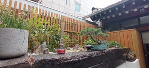  at Vegan Insa - 비건인사 in Seoul