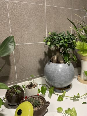   at Vegan Insa - 비건인사 in Seoul