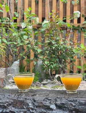 Traditional pumpkin fermented drinks.   at Vegan Insa - 비건인사 in Seoul