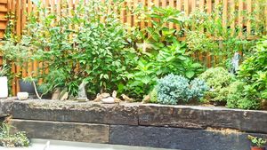  at Vegan Insa - 비건인사 in Seoul