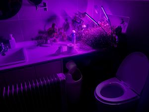 Cool bathroomm  at Vegan Insa - 비건인사 in Seoul