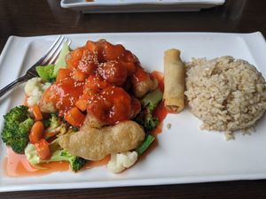 Sweet and sour soy protein, spring roll, and brown rice (lunch special) at Veggie Fun in Providence