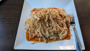 Tofu pad thai at Veggie Fun in Providence