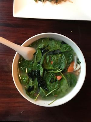 udon noodle soup at Veggie Fun in Providence