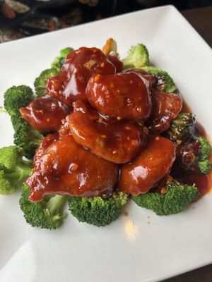 General tso's soy protein at Veggie Fun in Providence