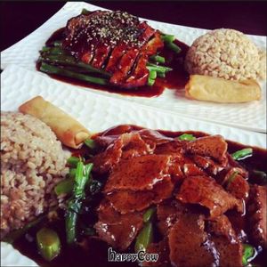 black pepper veggie beef and smoked teriyaki duck at Veggie Fun in Providence