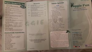Take out menu at Veggie Fun in Providence