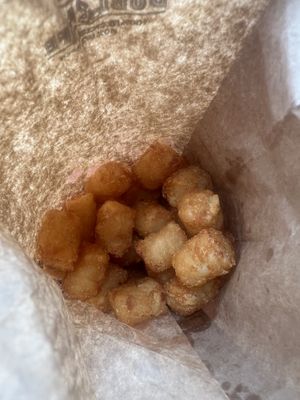 Saltiest tots I’ve ever had and boy I’ve eaten a lot of tots  at DogSlinger in Stevensville