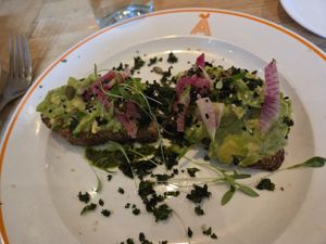 Avocado toast at Agricola Eatery in Princeton