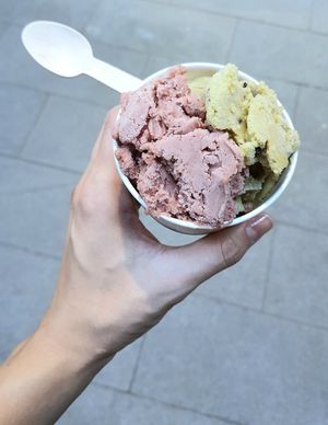 cup of gelato (flavors: cherry, kiwi) at Vegan Dalsae 달새는달만생각한다 - Maybe closed in Seoul