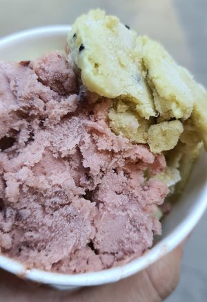 gelato - close-up at Vegan Dalsae 달새는달만생각한다 - Maybe closed in Seoul