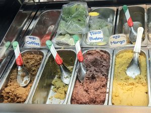 flavors: coffee, avocado, blueberry, mango at Vegan Dalsae 달새는달만생각한다 - Maybe closed in Seoul