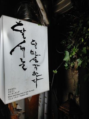  at Vegan Dalsae 달새는달만생각한다 - Maybe closed in Seoul