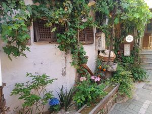  at Vegan Dalsae 달새는달만생각한다 - Maybe closed in Seoul