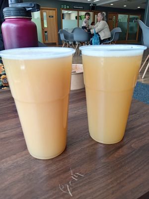 Pipeline IPA and Polly's Pale Ale at Microbus Gateshead in Gateshead