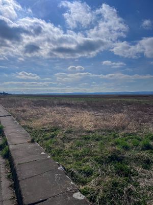 Parade walk  at Elephant Lounge in Neston