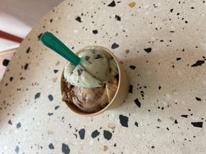 Chocolate mint and peanut chocolate  at Eisbrunnen - Vegan Ice Cream in Munich
