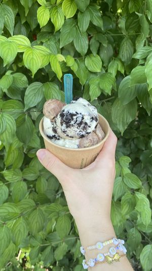   at Eisbrunnen - Vegan Ice Cream in Munich