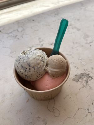   at Eisbrunnen - Vegan Ice Cream in Munich