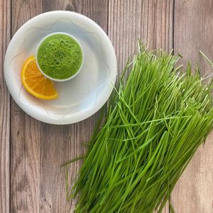 wheatgrass shot at JuiceBerry in Boynton Beach