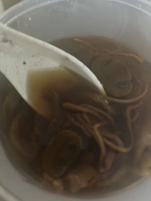 cordyceps soup!   at Kung Tak Lam - 功德林 - Causeway Bay in Hong Kong Island