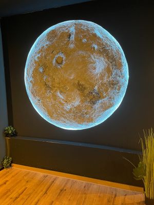 Photo Booth at Veg Nation  in Utrecht