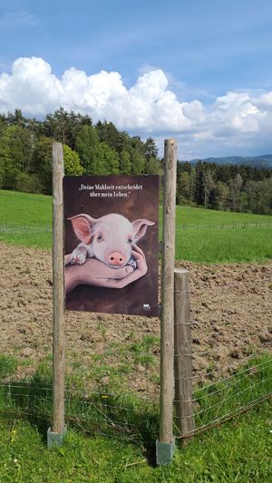  at Erdlingshof in Kollnburg