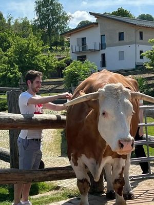  at Erdlingshof in Kollnburg