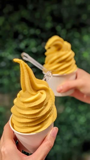 Vegan Mango Soft Serve at The BerrySpot - Esplanade in Central Singapore