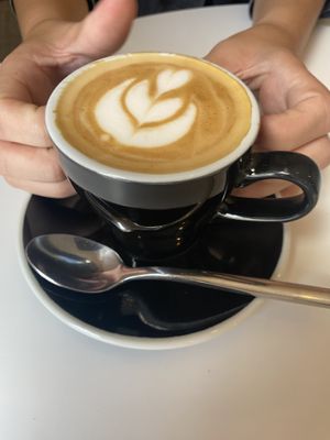   at Little Collins CBD  in Dublin