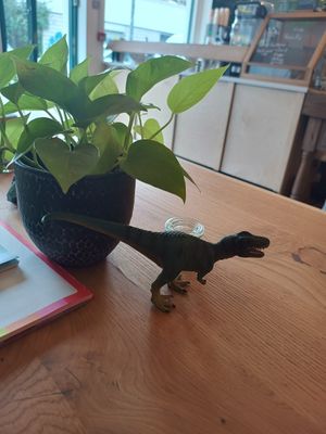 Rawr 🦖 at Little Collins CBD  in Dublin