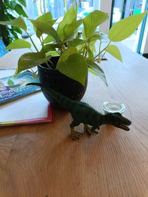 Dinosaur table ornament at Little Collins CBD  in Dublin