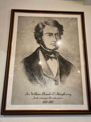  at Little Collins CBD  in Dublin