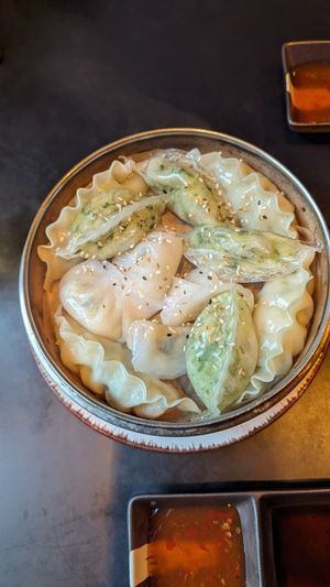 Dumplings for 2 at The Vegan Monkey in Berlin