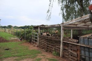  at Hof Birkenkamp  in Bresegard Bei Picher