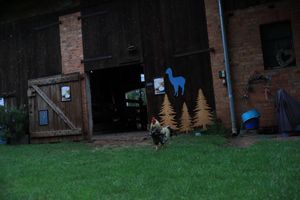  at Hof Birkenkamp  in Bresegard Bei Picher