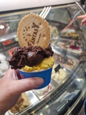 Dark choc and Mango at Gelato Fantasy Castello in Venice