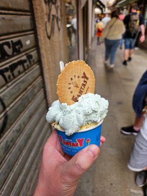 Mint choc chip and mango at Gelato Fantasy Castello in Venice