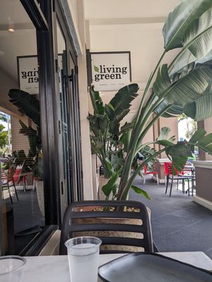  at Living Green Cafe in Fort Lauderdale