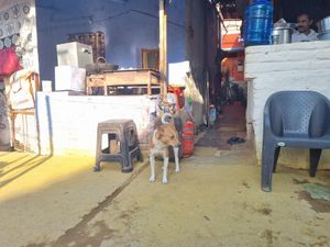 Outside at Shiva Cafe & Megha Guest House in Hampi