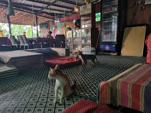 Inside at Old Chill Out Ganesh Restaurant in Hampi