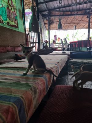 Inside at Old Chill Out Ganesh Restaurant in Hampi