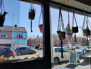 Interior at Harry's at 387 in Belfast