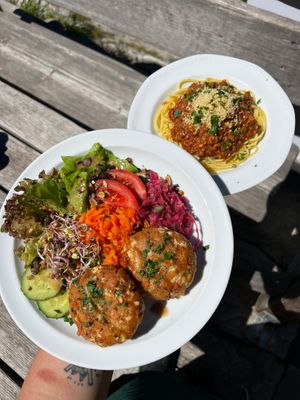  at Greizer Hütte  in Mayrhofen