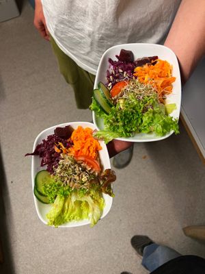 Mixed salad at Greizer Hütte  in Mayrhofen
