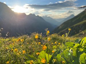 evening at Greizer Hütte at Greizer Hütte  in Mayrhofen